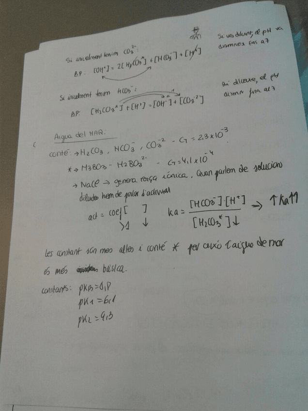 Miniatura del documento 6.jpg