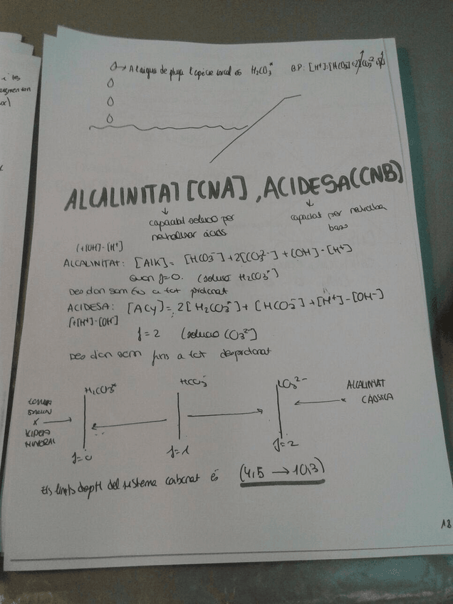 Miniatura del documento 7.jpg