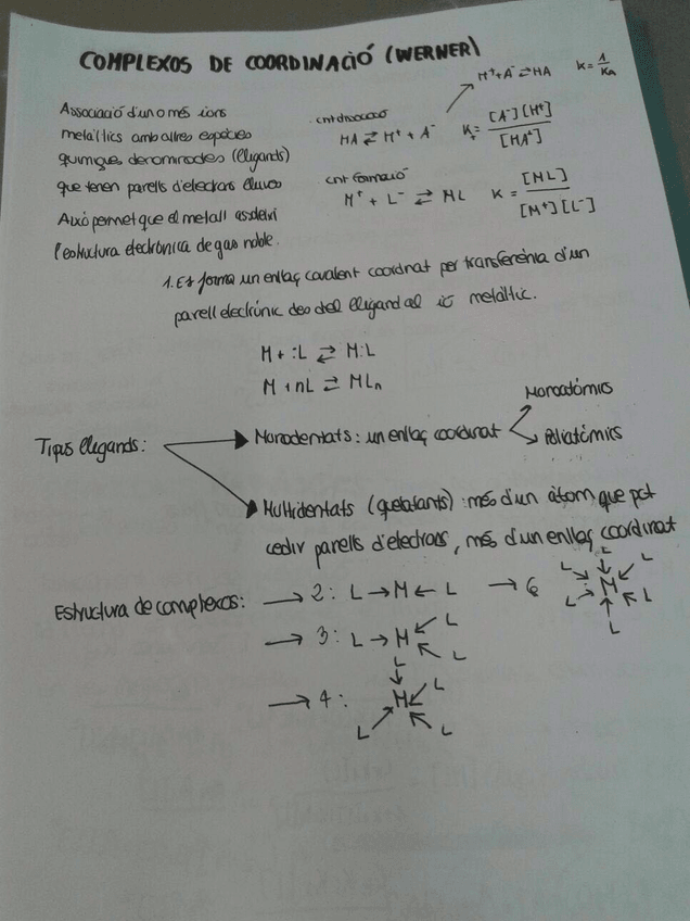 Miniatura del documento 9.jpg