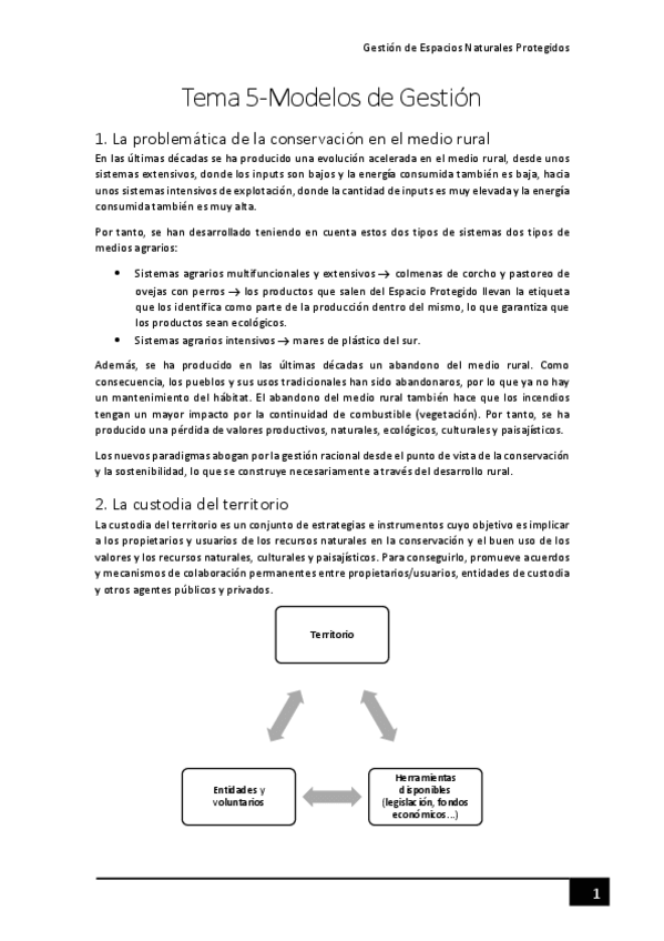Miniatura del documento Tema-5-Modelos-de-Gestion.pdf