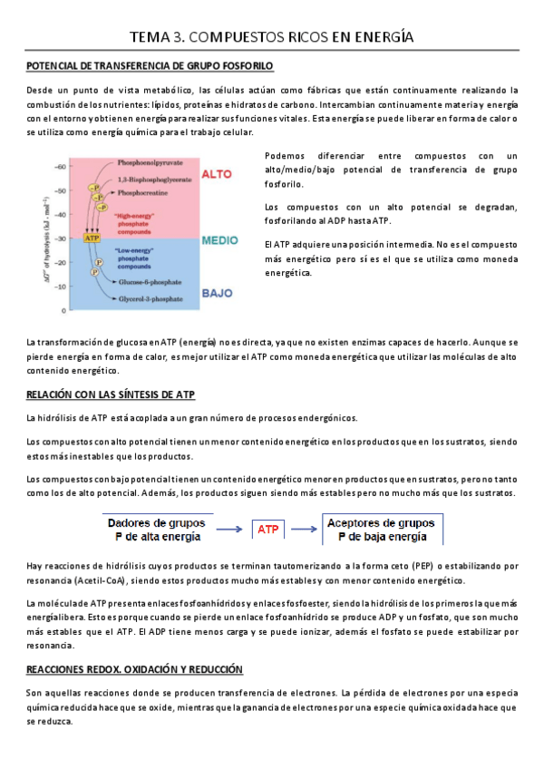 Miniatura del documento TEMA 3.pdf
