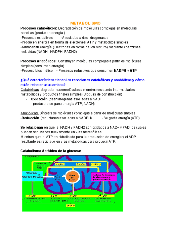 Miniatura del documento Trampilla.pdf