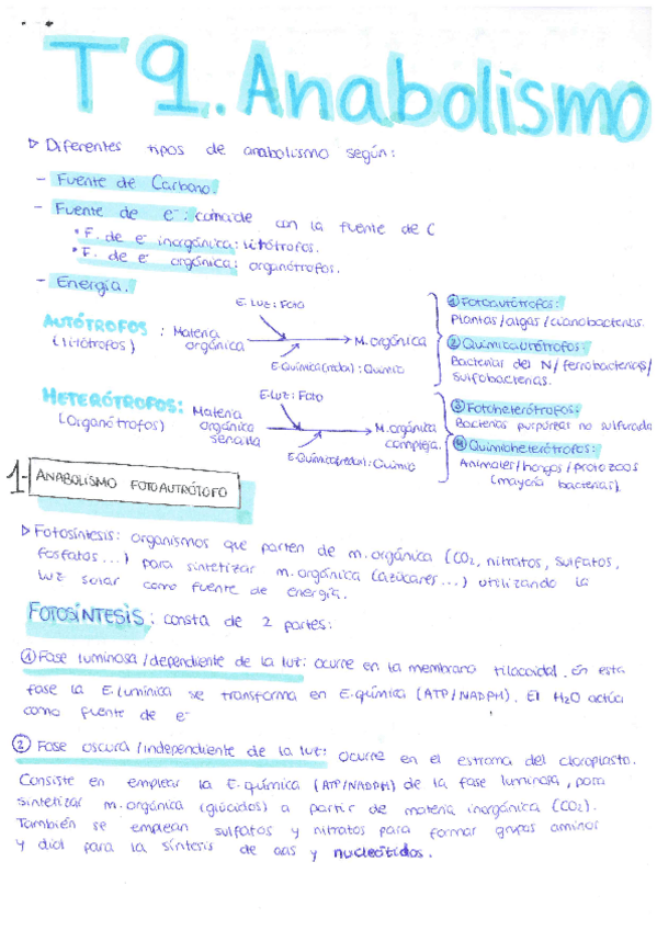 Miniatura del documento Tema-9-Anabolismo.pdf