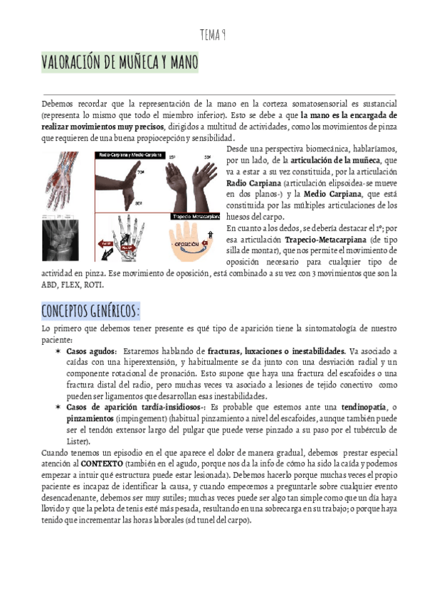 Miniatura del documento VALORACION-IBAI-T9-Valoracion-MUNECA-Y-MANO.pdf