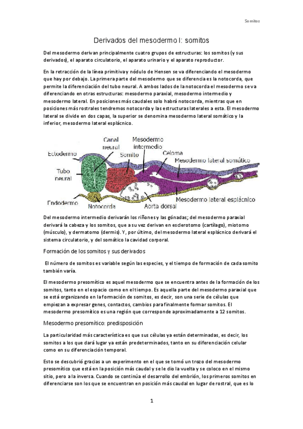 Miniatura del documento tema-5.pdf