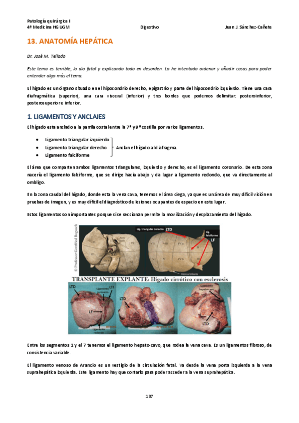 Miniatura del documento Qx-DIGESTIVO-TEMAS-13-17.pdf