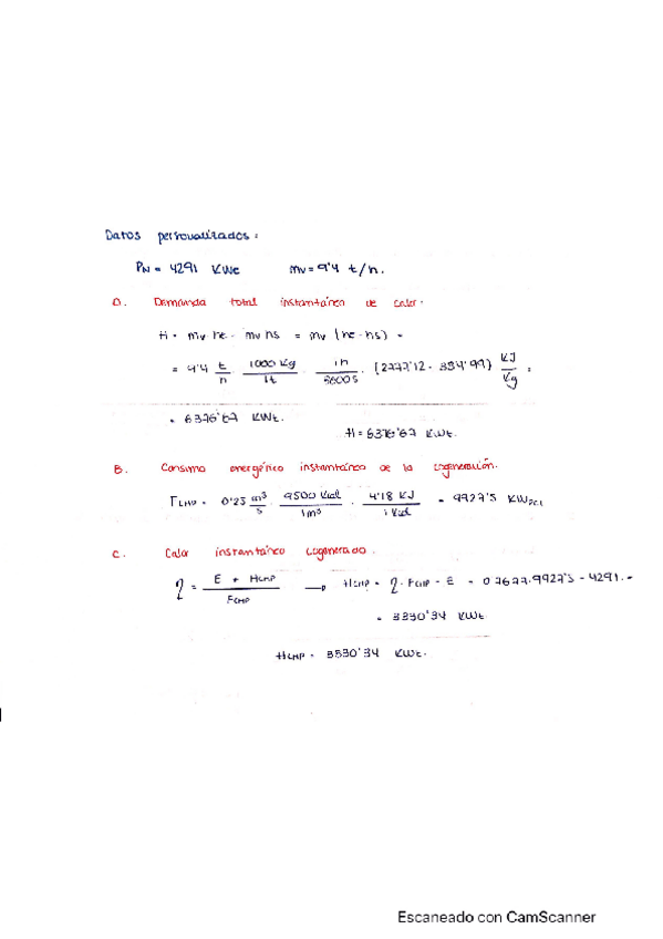 Miniatura del documento Entregable-final-cogeneracion-1.pdf
