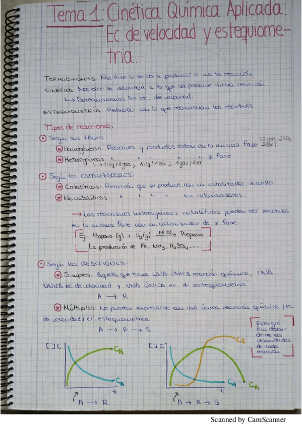 Miniatura del documento T1.pdf