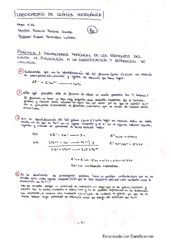 Miniatura del documento CamScanner-05-22-2020-12.pdf