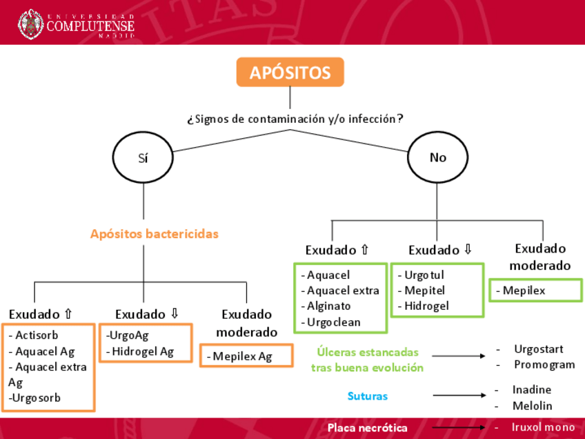 Miniatura del documento Algoritmo-apositos.pdf