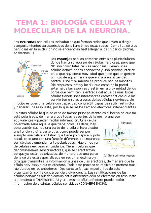 Miniatura del documento Clase-1-y-2.odt