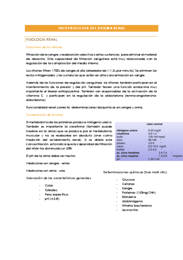 Miniatura del documento FISIOPATOLOGIA-DEL-SISTEMA-RENAL.pdf