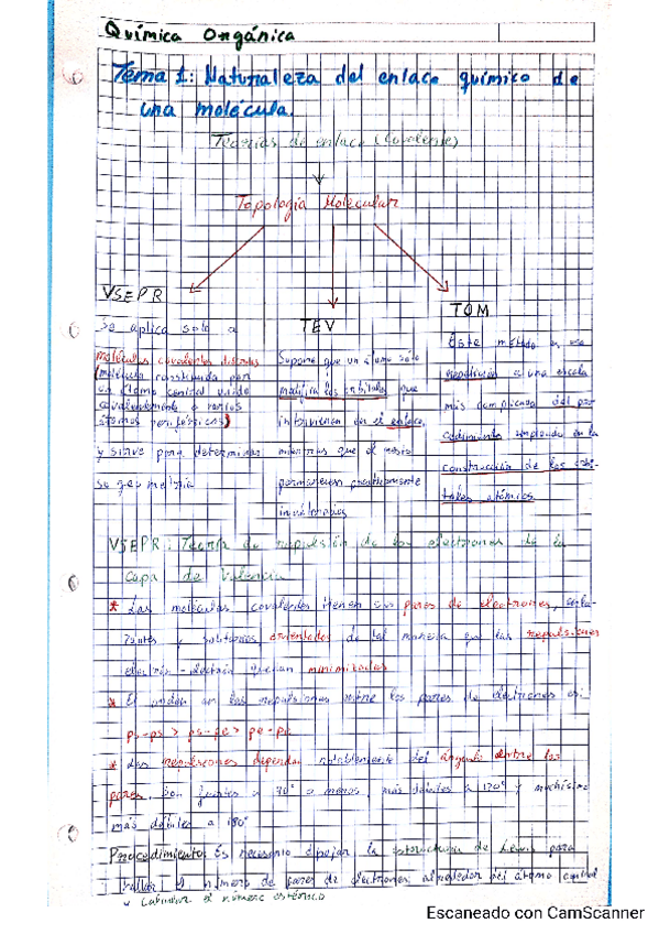Miniatura del documento CamScanner-05-22-2020-21.pdf