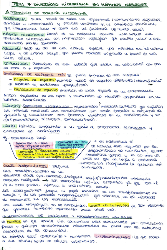 Miniatura del documento 2o-PARCIAL.pdf