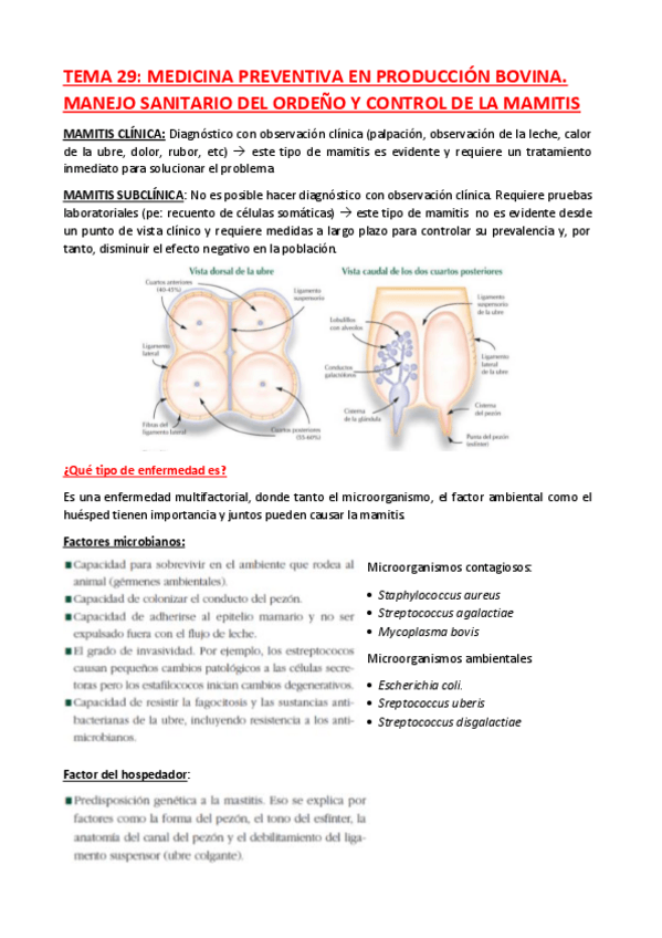 Miniatura del documento Tema-29.pdf