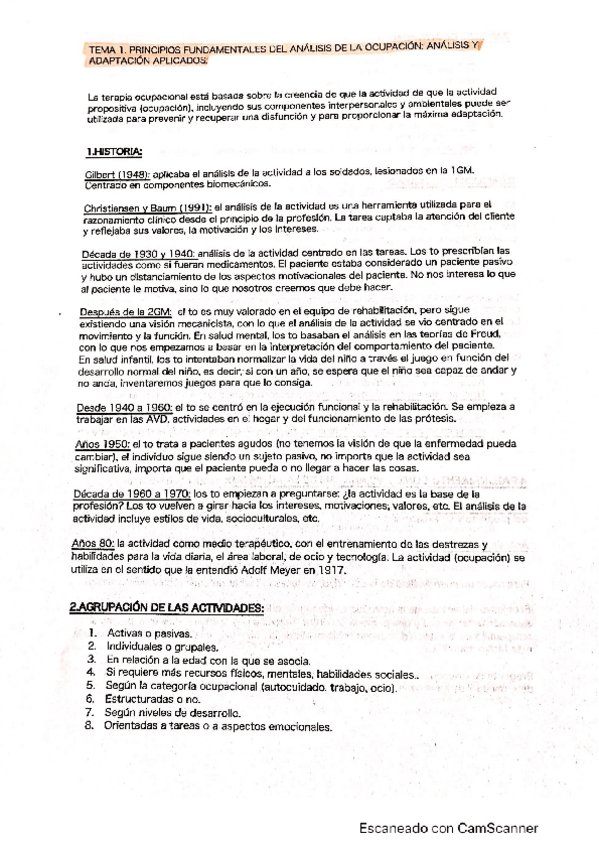 Miniatura del documento analisis-de-la-actividad.pdf