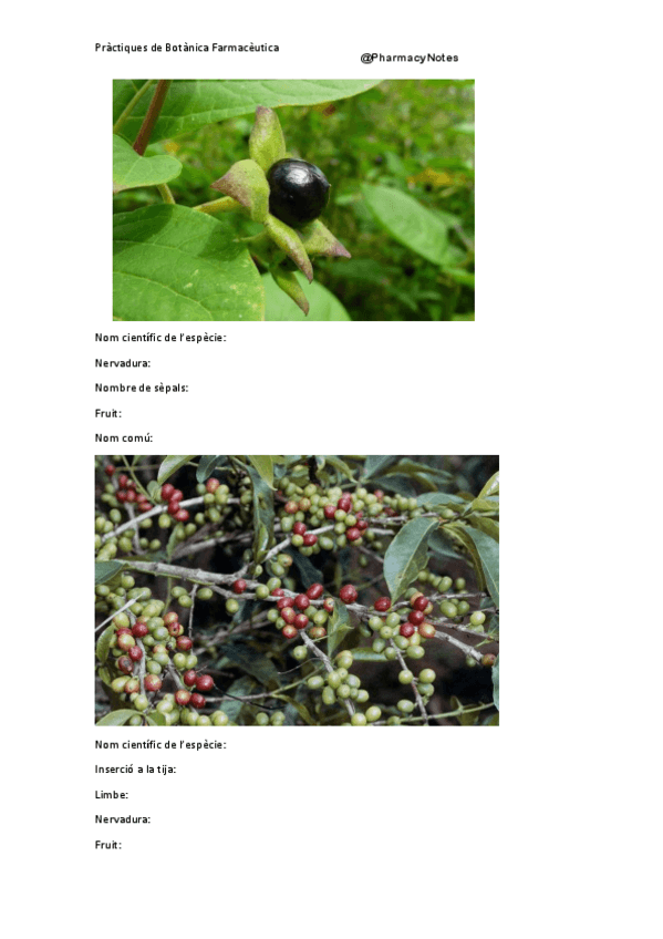 Miniatura del documento Examen de Visu pràctiques .pdf