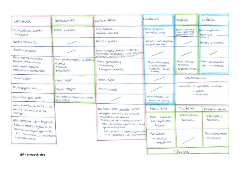 Miniatura del documento Quadre Resum Grup 4 Ròsides.pdf