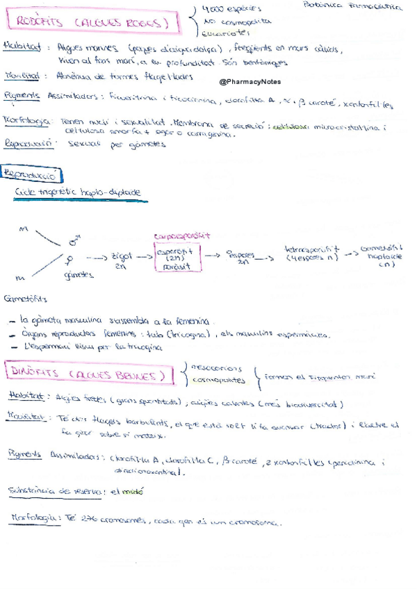 Miniatura del documento Algues.pdf