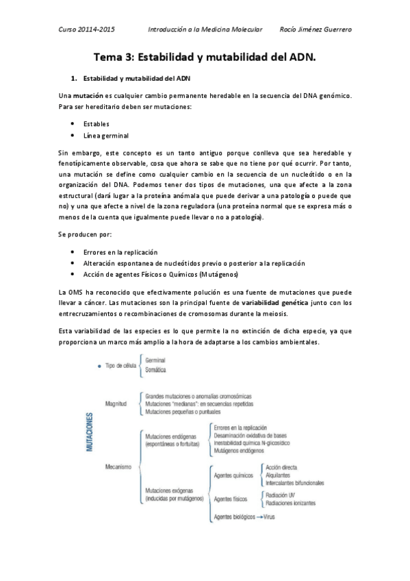 Miniatura del documento 3. Rocío.pdf
