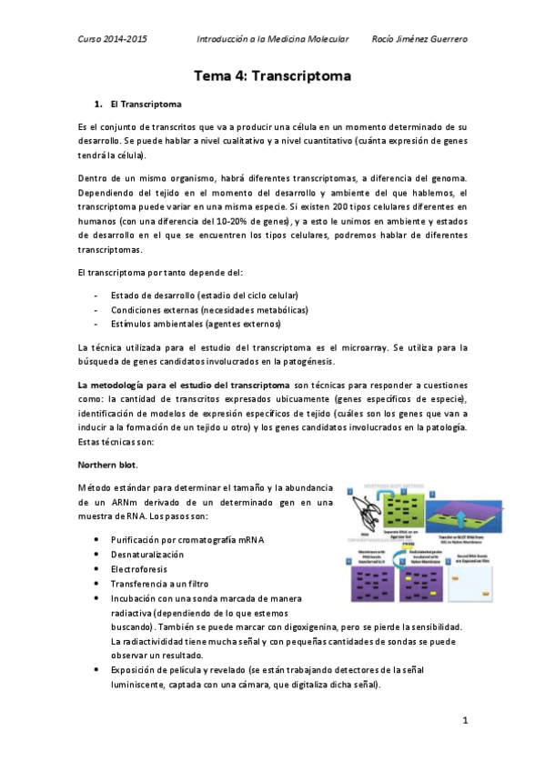 Miniatura del documento 4. Rocío.pdf