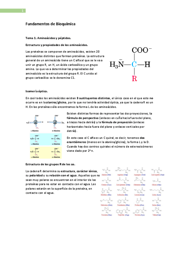 Miniatura del documento Fundamentos-de-Bioquimica.pdf