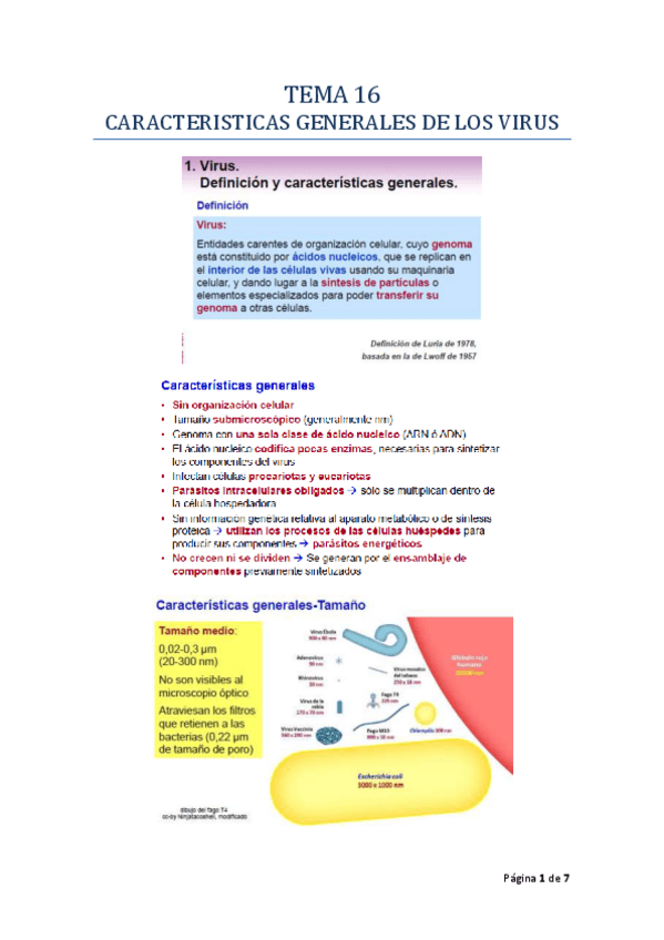 Miniatura del documento TEMA_16_MICRO_I_RODELAS.pdf