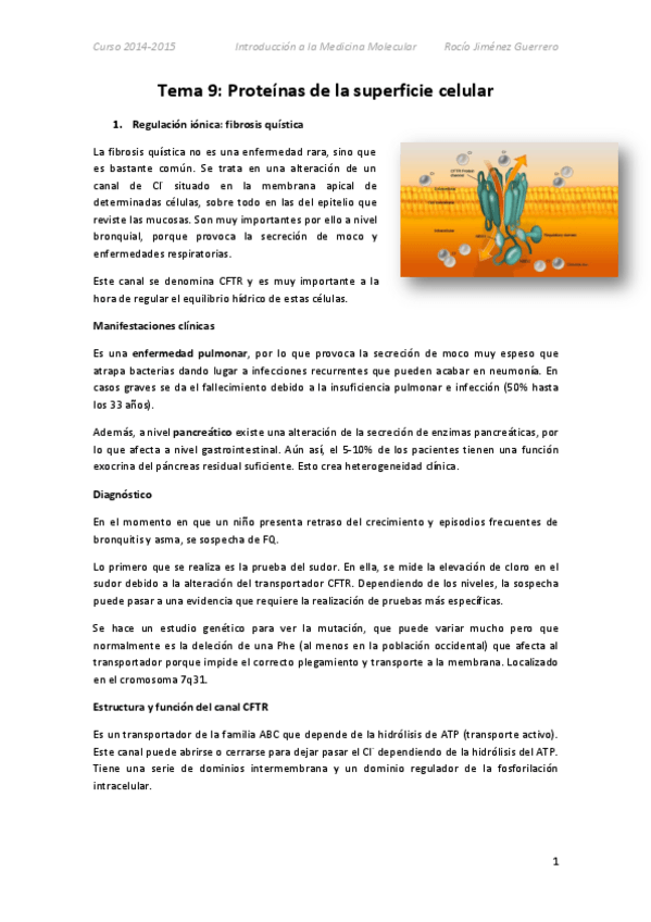 Miniatura del documento 9. Rocío.pdf
