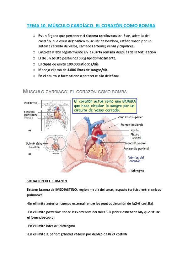Miniatura del documento 10.pdf