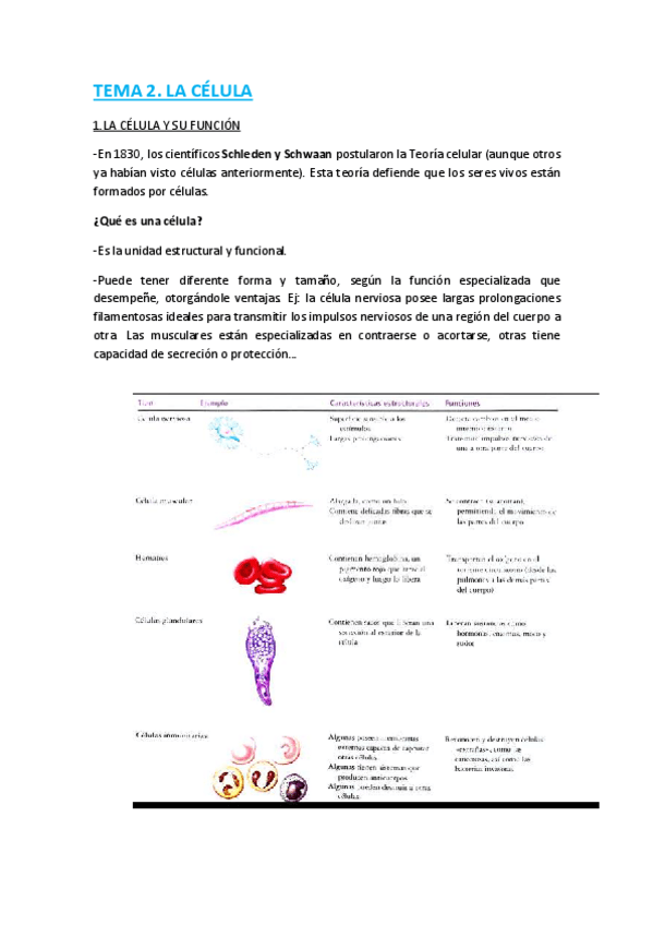 Miniatura del documento 2.pdf