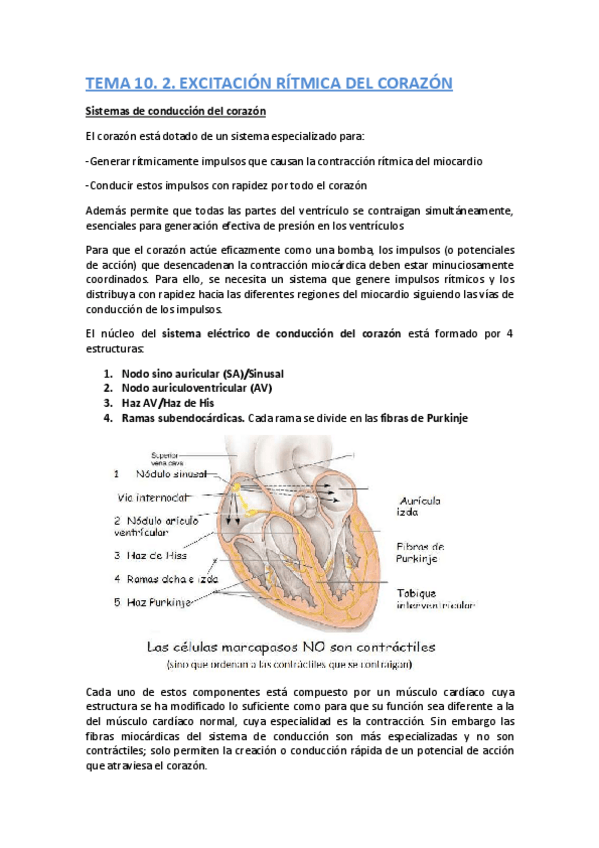 Miniatura del documento 10.pdf
