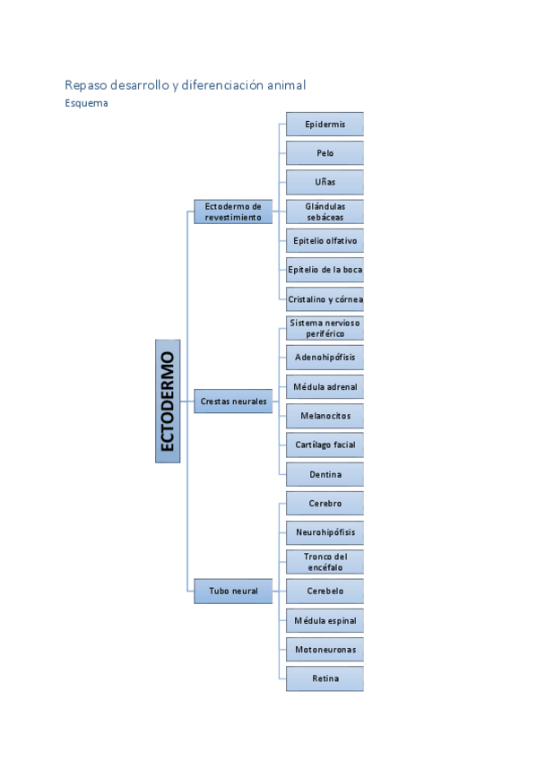 Miniatura del documento Repaso-para-el-examen.pdf