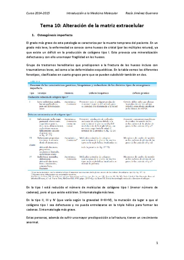 Miniatura del documento 10. Rocío.pdf