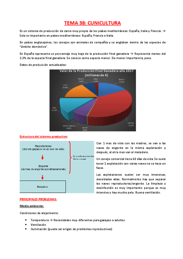 Miniatura del documento TEMA-38.pdf