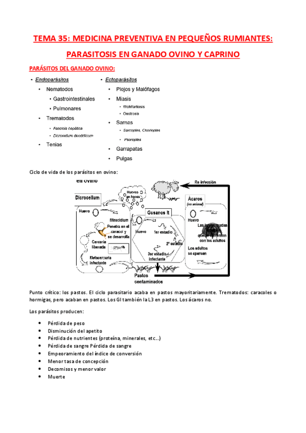 Miniatura del documento TEMA-35.pdf