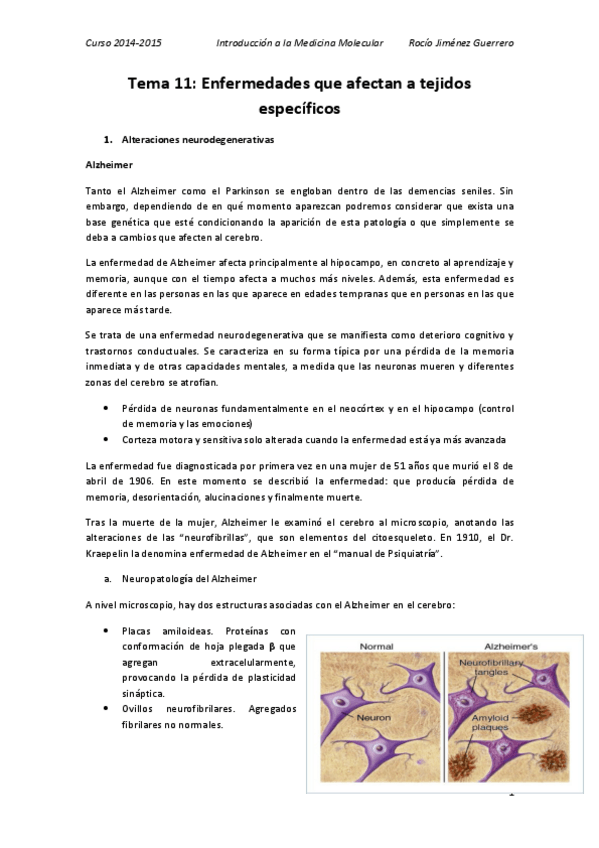 Miniatura del documento 11. Rocío.pdf