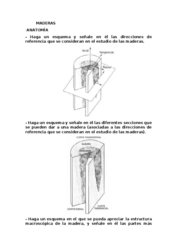 Miniatura del documento MADERAS.docx