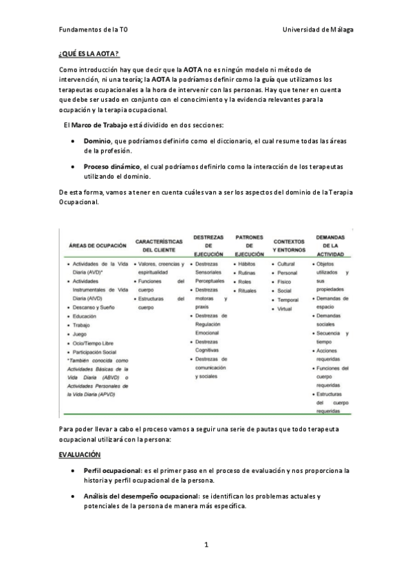 Miniatura del documento AOTA-y-Analisis-de-la-Actividad.pdf