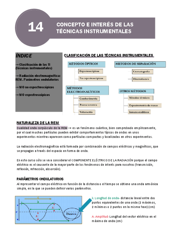 Miniatura del documento TEMA-14.pdf