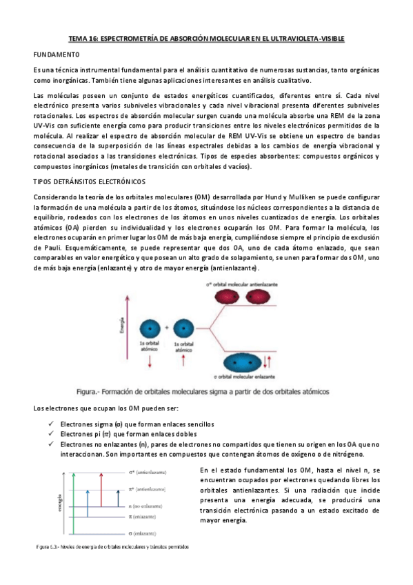 Miniatura del documento TEMA-16-RESUMIDO.pdf