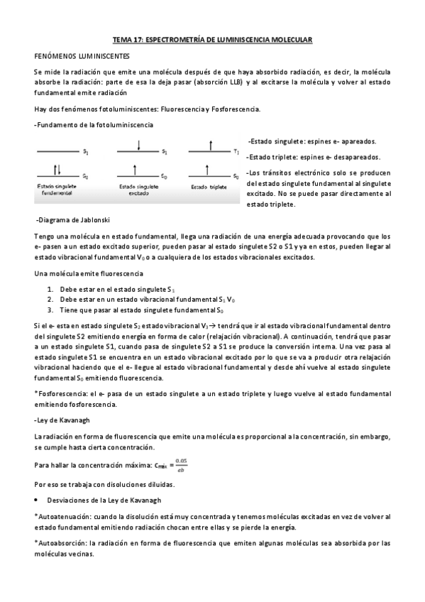 Miniatura del documento TEMA-17-RESUMIDO-.pdf