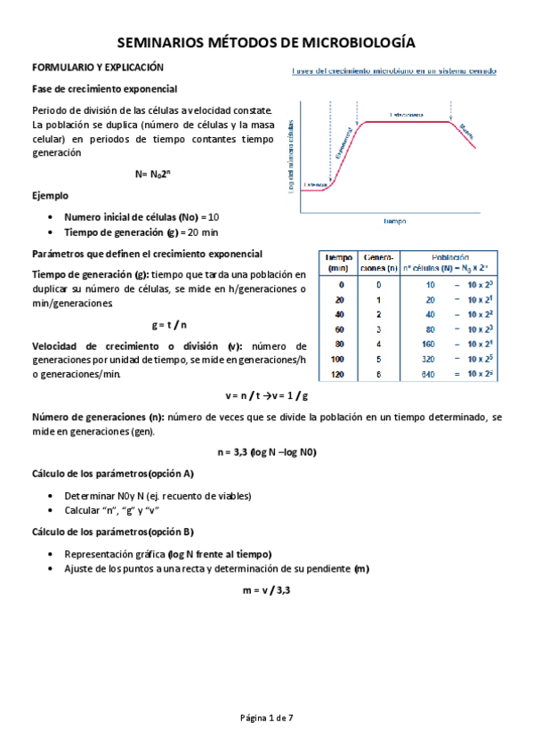 Miniatura del documento SEMINARIO.pdf