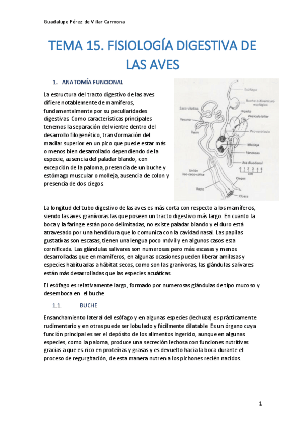 Miniatura del documento TEMA-15-AMPLIACION-FISIO.pdf