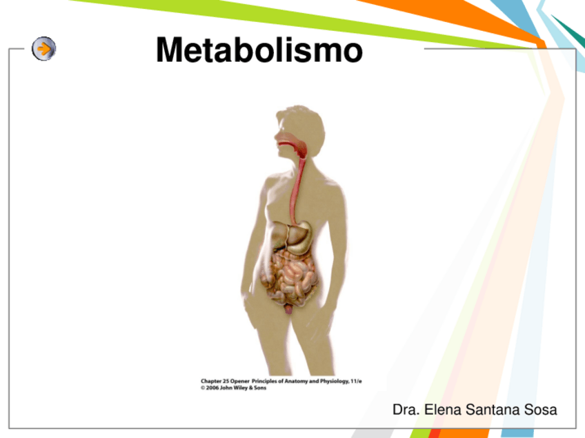 Miniatura del documento Metabolismo-tema-3.pdf