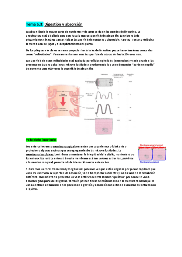 Miniatura del documento Tema-5.pdf