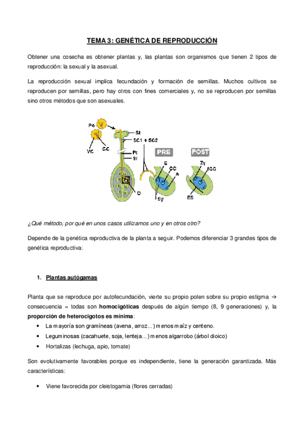 Miniatura del documento 3. Genética de reproducción.pdf