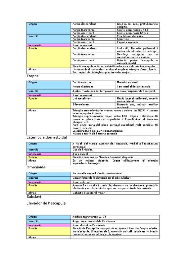 Miniatura del documento Taules-dels-musculs.docx