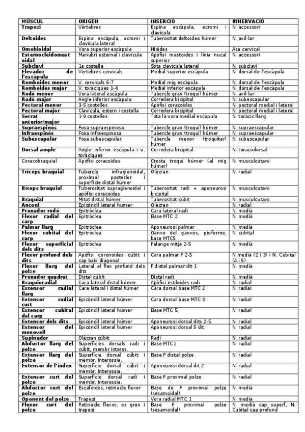 Miniatura del documento MUSCUL.docx