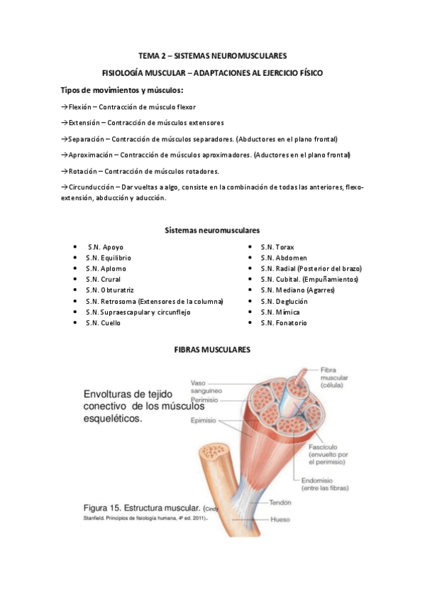 Miniatura del documento Tema-2-Sistemas-neuromusculares.pdf