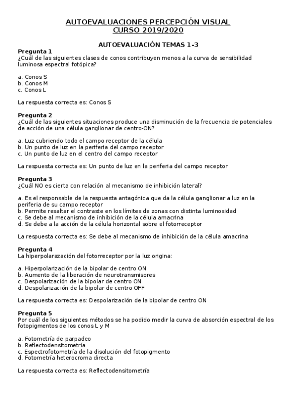 Miniatura del documento AUTOEVALUACIONES-PERCEPCION-VISUAL.docx